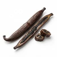 Vanilla