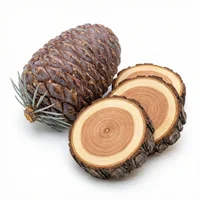 Atlas Cedar