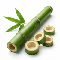 Bamboo