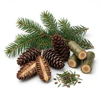 Black Hemlock