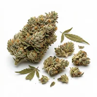 Cannabis