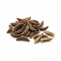 Caraway