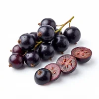 Cassis
