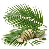 Coconut Leaf