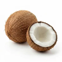 Coconut