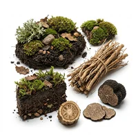 Earthy Notes