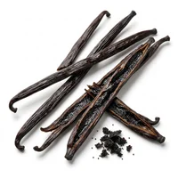 Madagaskar Vanilla