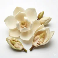 Magnolia