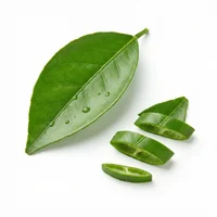 Mandarin Leaf