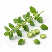 Marjoram