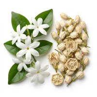 Moroccan Jasmine