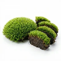 Moss