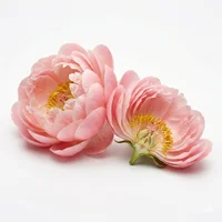 Peony