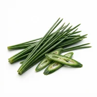 Pine Needles
