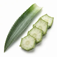 Pineapple Leaf