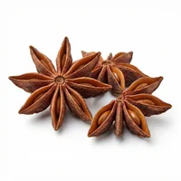 Star Anise